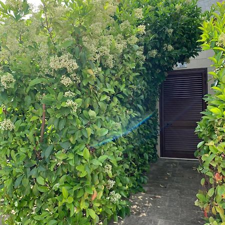 Agriturismo Tenuta Don Giovanni Melendugno Eksteriør billede