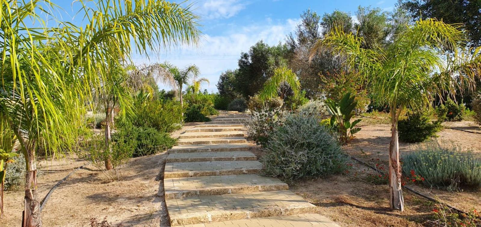 Agriturismo Tenuta Don Giovanni Melendugno Eksteriør billede